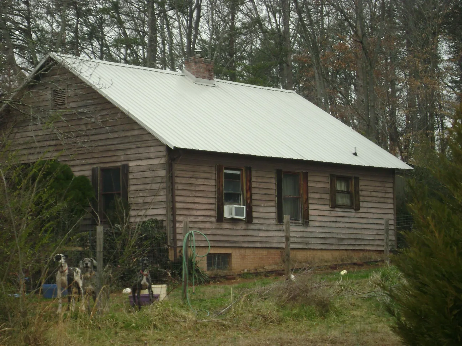 White metal roof on an old wood sided farmhouse, from a Metal Roof Installation job in Newfoundland